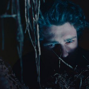 Foto Are We Not Cats