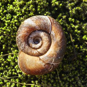 Foto 15 Corners of the World