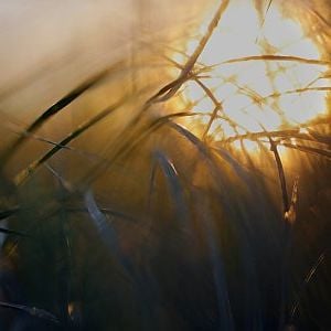 Foto 15 Corners of the World