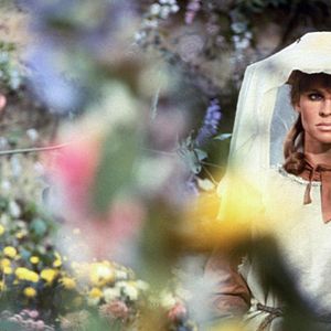 Foto Longe Deste Insensato Mundo