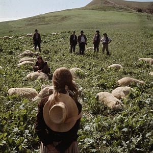 Foto Longe Deste Insensato Mundo