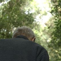 Foto A Destruição de Bernardet