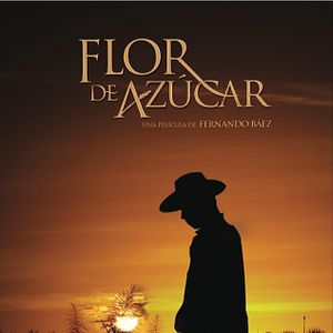 Foto Flor de Azúcar