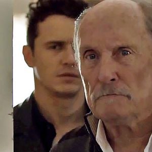 Foto Cavalos Selvagens