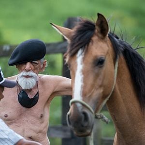 Foto Rogério Duarte, o Tropikaoslista