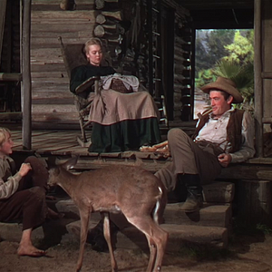 Foto Virtude Selvagem