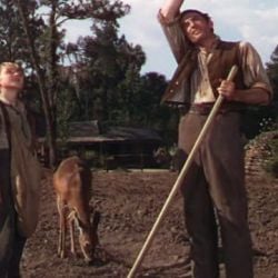 Foto Virtude Selvagem