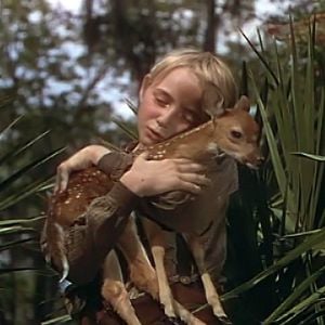 Foto Virtude Selvagem