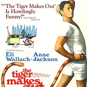 Foto Um Tigre de Alcova