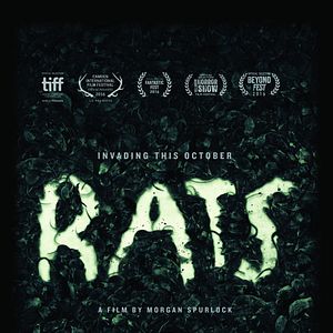 Foto Rats: Realidade Urbana