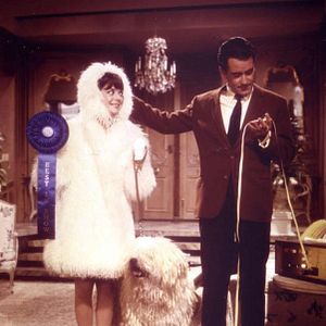 Foto Os Prazeres de Penélope