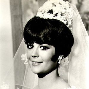 Foto Os Prazeres de Penélope