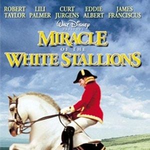 Foto Ao Passar do Vendaval