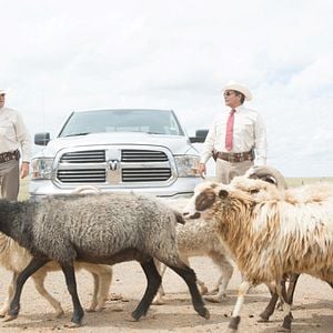 Foto A Qualquer Custo