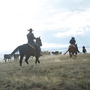 Foto A Qualquer Custo