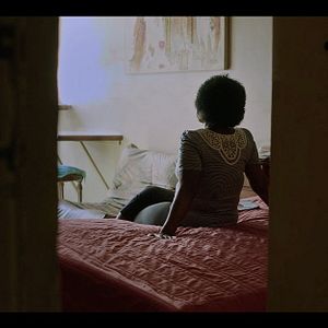 Foto Os Pássaros Estão Distraídos