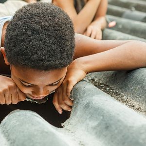 Foto Pelé - O Nascimento de uma Lenda