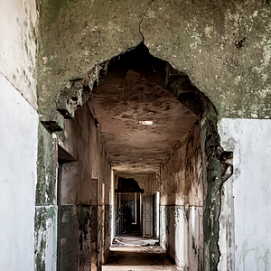 Foto Holocausto Brasileiro