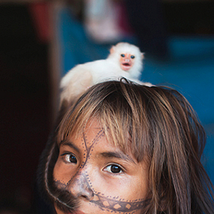 Foto O Jabuti e a Anta﻿