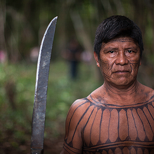 Foto O Jabuti e a Anta﻿