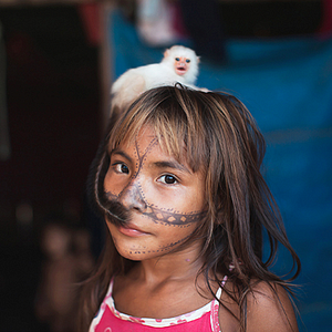 Foto O Jabuti e a Anta﻿