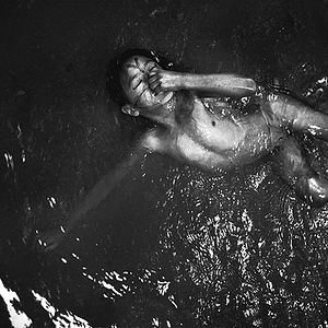 Foto O Jabuti e a Anta﻿