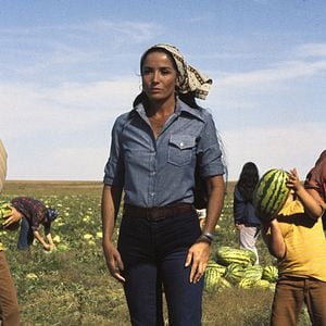 Foto Desafiando o Assassino