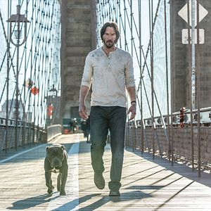 Foto John Wick - Um Novo Dia para Matar
