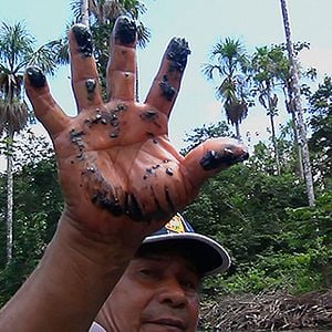 Foto Como abrir mão do mundo (e amar todas as coisas que o clima não pode mudar)