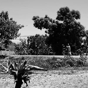 Foto A Mulher Que Se Foi