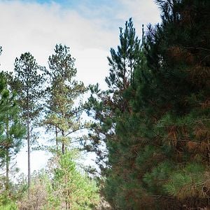 Foto Deixados Para Trás - A Nova Geração