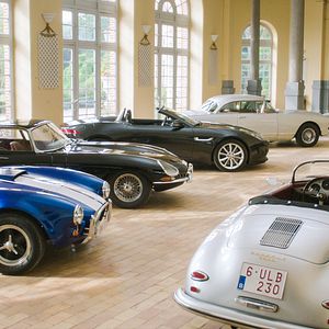 Foto The Surprise﻿