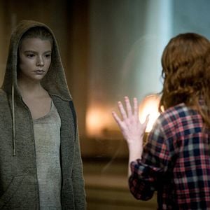 Foto Morgan - A Evolução