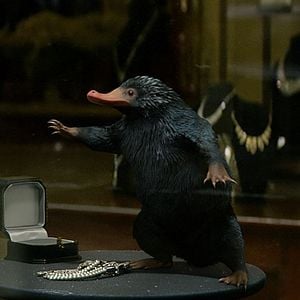 Foto Animais Fantásticos e Onde Habitam