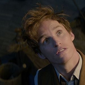 Foto Eddie Redmayne