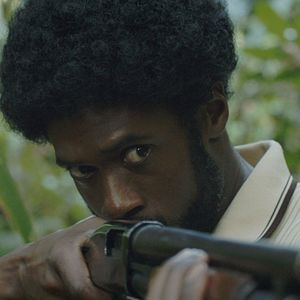 Foto A Gangue das Antilhas