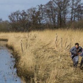 Foto Quando o Dia Chegar