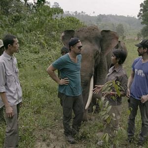 Foto Seremos História?