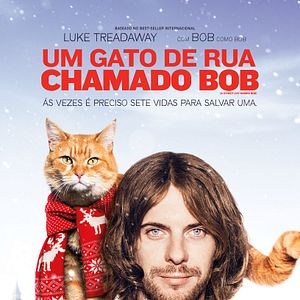 Foto Um Gato de Rua Chamado Bob