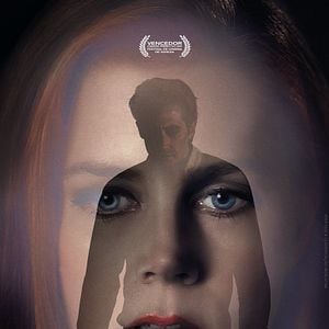 Foto Animais Noturnos