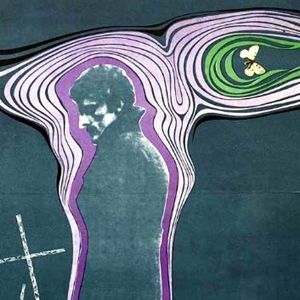 Foto O Bosque de Bétulas