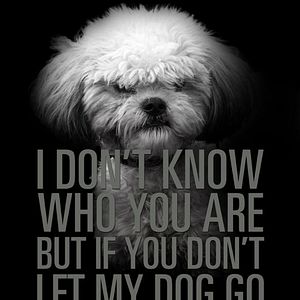 Foto Busca Impagável