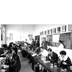 Foto Haymatloz - Exílio na Turquia