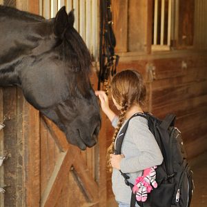 Foto Meu Melhor Amigo