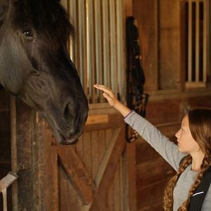 Foto Meu Melhor Amigo