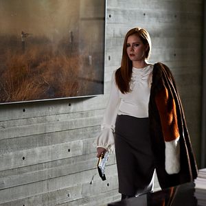 Foto Animais Noturnos