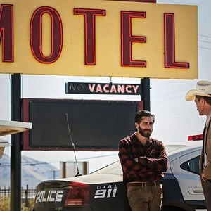 Foto Animais Noturnos