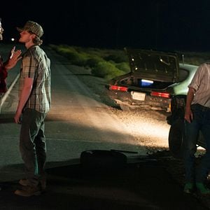 Foto Animais Noturnos