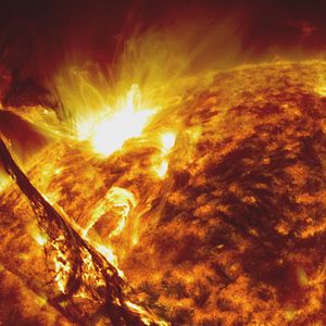 Foto Eis os Delírios do Mundo Conectado