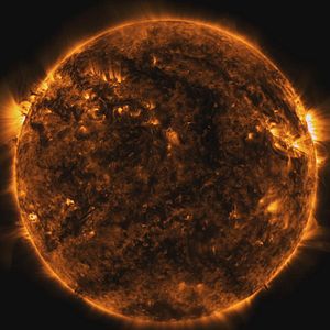 Foto Eis os Delírios do Mundo Conectado